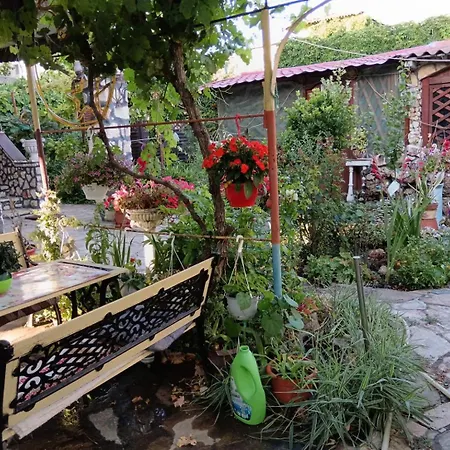 Tarra Garsoniera11 * Mangalia