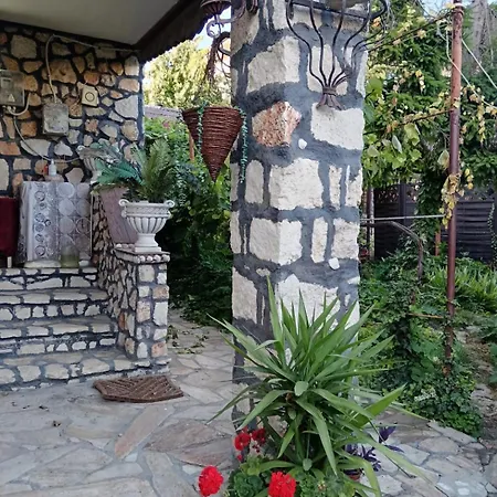 Tarra Studio11